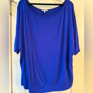 Blue dolman style shirt